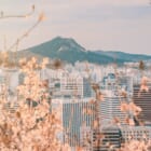 3 Days Itinerary in Seoul